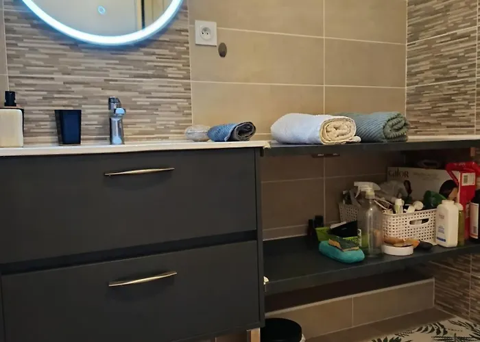 Διαμέρισμα Chez Nathalie Pres De La Gare Καρκασόν